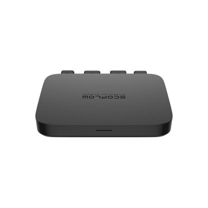 EcoFlow 800 W Batterieladegerät