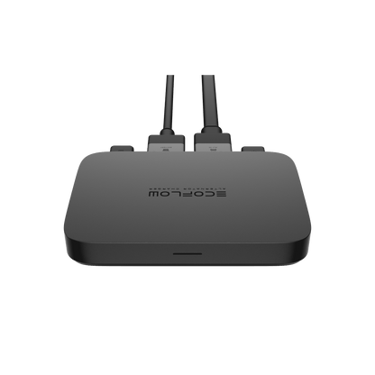 EcoFlow Batterieladegerät 800 W + EcoFlow DELTA 2